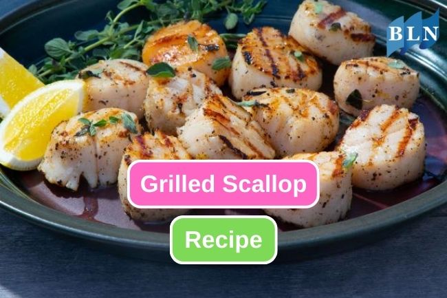 Homemade Grilled Scallop Recipe
